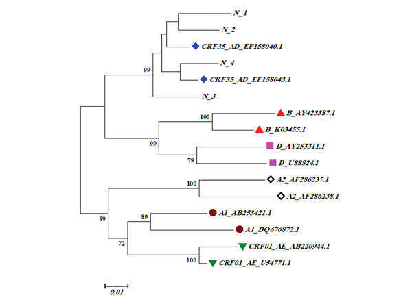 The phylogenetic tree made based on the pol gene nucleotide sequences (1015 bp) of HIV-1 retrieved from plasma specimens of 4 HIV-1-infected infants and those corresponding to various complete genome sequences of HIV-1 obtained from the GenBank. Closed diamonds (♦) show CRF35-AD, closed triangles (▲) show subtype B, closed squares (■) show subtype D, opened diamonds (◊) show subtype A2, closed circles (●) show subtype A1, and closed inverse triangles (▼) show subtype CRF01-AE. The neighbor-joining technique was used for the construction of this phylogenetic. The bootstrap values equal to or greater than 70 obtained after 1000 replicates have been indicated in the figure.