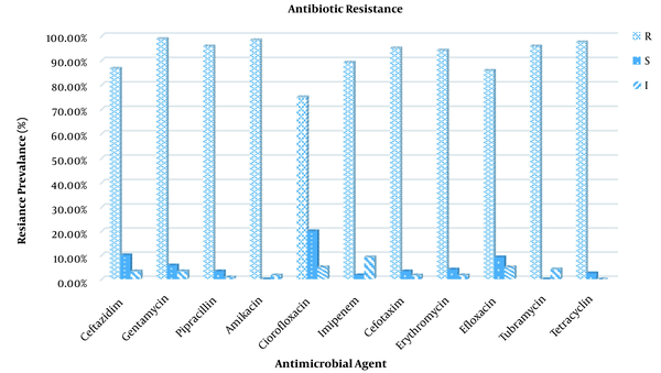 The antibiotic resistance (%) of isolated Pseudomonas aeruginosa strains.
